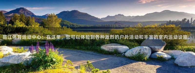捷豹足球鞋