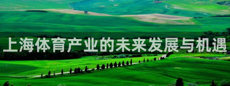 捷豹足球比分回查