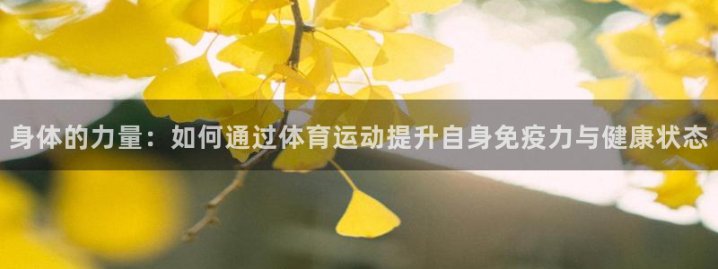 捷豹足球比赛