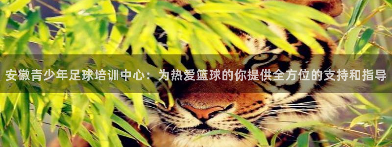 捷豹足球彩票app能用吗：安徽青少年足球培训中心：为热爱篮球的你提供全方位的支持和指导
