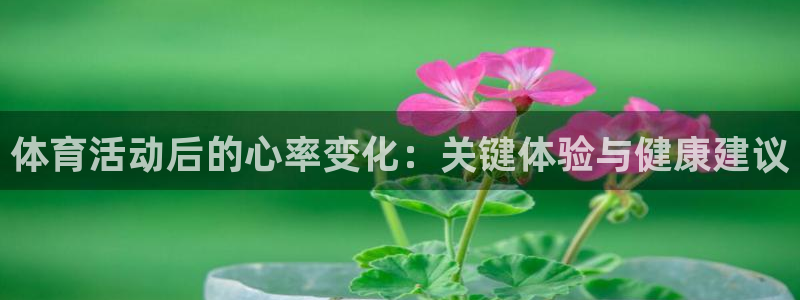 捷豹足球