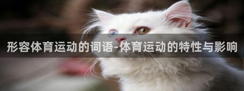 关键词
