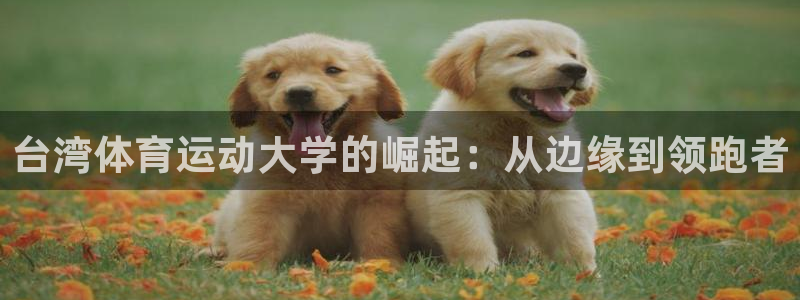 捷豹足球比赛：台湾体育运动大学的崛起：从边缘到领跑者