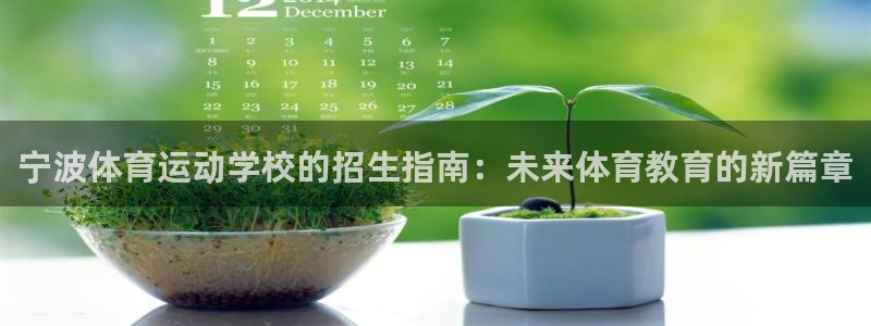 捷豹足球：宁波体育运动学校的招生指南：未来体育教育的新篇章